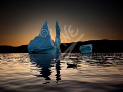 Twillingate, iceberg at sunset